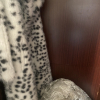 https://cdn.worldota.net/t/100x100/hotel_review/7f/3b/7f3b0568ca27f1210a2ff6ed73b97f13633c6478.JPEG