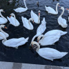 https://cdn.worldota.net/t/100x100/hotel_review/7f/96/7f9658fa727d152446351a93151ec267ed12e185.JPEG