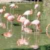 https://cdn.worldota.net/t/100x100/hotel_review/7f/e1/7fe100464670674d12cc1d8c029b08c19013bc09.JPEG