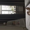 https://cdn.worldota.net/t/100x100/hotel_review/81/78/8178d9fe57772bf737d5d4c10c32d061fa41e97a.JPEG