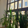 https://cdn.worldota.net/t/100x100/hotel_review/82/04/82040f6b985ffe0c068c8e2ba4e9db3e886980be.JPEG