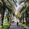 https://cdn.worldota.net/t/100x100/hotel_review/82/7d/827d4f4ad8d52365f1ac91641834e3d9c7b141cd.JPEG
