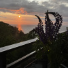 https://cdn.worldota.net/t/{size}/hotel_review/83/06/8306e6704845e5604f7d2213e6313f07c93ed412.JPEG