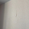 https://cdn.worldota.net/t/100x100/hotel_review/84/a3/84a352e4b8feaad443c7829f4cf4ffc2e286e26d.JPEG