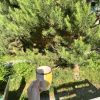 https://cdn.worldota.net/t/100x100/hotel_review/84/ca/84cae69dbc11e4d95dc15c7c0acc3c5294de4cf1.JPEG