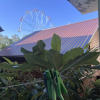 https://cdn.worldota.net/t/100x100/hotel_review/85/14/851492cbf2b06867fac489fa9a908b856cf94300.JPEG