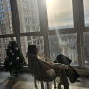 https://cdn.worldota.net/t/{size}/hotel_review/85/15/8515bad7e938afa69b97bbe3a9a2fba5edc487d0.JPEG