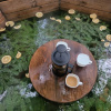 https://cdn.worldota.net/t/100x100/hotel_review/85/a8/85a8a53c0d7099e9b3626480c2886b7ab68a29d7.JPEG