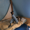 https://cdn.worldota.net/t/{size}/hotel_review/85/b6/85b699213cb9935e01c73c57480e2631b7180791.JPEG
