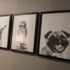 https://cdn.worldota.net/t/100x100/hotel_review/86/a2/86a223f425b03c49fd307da0a72bd8fd9e567613.JPEG