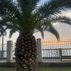 https://cdn.worldota.net/t/100x100/hotel_review/87/0e/870ea5a8978e8bc0484add99cba834370e40cd2e.JPEG