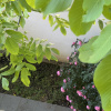 https://cdn.worldota.net/t/100x100/hotel_review/87/17/87175685b2302acd425a8c6002843824c26bbe13.JPEG