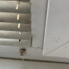 https://cdn.worldota.net/t/100x100/hotel_review/87/22/872295df32bb91d3777c4757752a94d0d8685b0f.JPEG