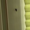 https://cdn.worldota.net/t/100x100/hotel_review/87/43/8743b203b164fb592d993364d35b7b8da5fad576.JPEG
