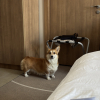 https://cdn.worldota.net/t/100x100/hotel_review/87/5a/875ab0f94867d67d9bc5c87b3296ff43e26b0fc7.JPEG