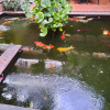 https://cdn.worldota.net/t/100x100/hotel_review/87/c9/87c9d776e0f3c522f5304009b54068f5de7bfab9.JPEG