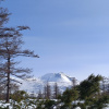 https://cdn.worldota.net/t/100x100/hotel_review/88/04/880441454a366d3c68a83cc9c1261bc52aa99a51.JPEG