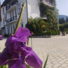 https://cdn.worldota.net/t/100x100/hotel_review/88/60/886044866f13e46ff22f3e83fd89929b85ae5fb6.JPEG