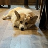 https://cdn.worldota.net/t/100x100/hotel_review/88/6d/886d1e2519e8cef542781e95d3742afb4f1dc922.JPEG