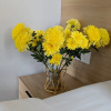 https://cdn.worldota.net/t/100x100/hotel_review/88/d3/88d36f2579d9d5e0881602e5d2020e752ffb1c7f.JPEG