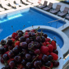 https://cdn.worldota.net/t/100x100/hotel_review/89/05/89052bdc81c2deba62bfeccec860218fa736e3aa.JPEG