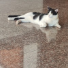 https://cdn.worldota.net/t/100x100/hotel_review/8a/99/8a990ee4690cbe9154dfc8caf740a7f654f66452.JPEG