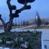 https://cdn.worldota.net/t/100x100/hotel_review/8a/e0/8ae0a7a340607fec027686291789f3058abf3b13.JPEG