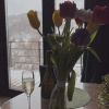 https://cdn.worldota.net/t/{size}/hotel_review/8b/0a/8b0afa9638a528ea75dbf4001bdb5c6203147695.JPEG