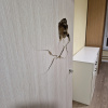 https://cdn.worldota.net/t/100x100/hotel_review/8b/c0/8bc08bbb5557dbe5fb246531b5bb56bee982967f.JPEG