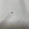 https://cdn.worldota.net/t/{size}/hotel_review/8c/38/8c38bbdb2d071cbecc2d3783a1c7db261761d45c.JPEG