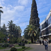 https://cdn.worldota.net/t/100x100/hotel_review/8c/67/8c671ec9a67d5af841d94084bd2a06eb8e7c199b.JPEG