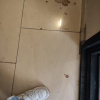https://cdn.worldota.net/t/100x100/hotel_review/8c/e2/8ce23108f9dd14b4dfd501620bca6bbe9f67de4f.JPEG