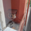 https://cdn.worldota.net/t/100x100/hotel_review/8c/e6/8ce6931b4a40efc54b8c2d155566a1a9c24bc0b5.JPEG