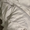 https://cdn.worldota.net/t/100x100/hotel_review/8e/80/8e8020a826352cf37664ea29a0c74b1bb26a4986.JPEG