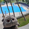https://cdn.worldota.net/t/100x100/hotel_review/8e/8b/8e8bf4dfa11021f84e160992783843901130923c.JPEG