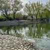https://cdn.worldota.net/t/100x100/hotel_review/8e/a9/8ea938efe28816defd608d907548cce0b8802cc5.JPEG