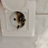 https://cdn.worldota.net/t/100x100/hotel_review/8f/1a/8f1a55e5516b78eef62caa5701498d2e5bfb293d.JPEG