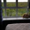 https://cdn.worldota.net/t/100x100/hotel_review/90/59/9059ec632193a70b501adf37484534ce32c37e12.JPEG