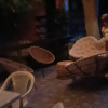 https://cdn.worldota.net/t/100x100/hotel_review/90/63/9063ac423b0ab50148d33c210b787603968d56ca.JPEG