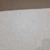 https://cdn.worldota.net/t/100x100/hotel_review/90/67/9067763a5f04292479c405b71f58352e84accb56.JPEG