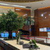 https://cdn.worldota.net/t/100x100/hotel_review/91/3b/913be351093bf13ab18c93fe9f5cc564cea7cb6c.JPEG