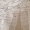 https://cdn.worldota.net/t/100x100/hotel_review/91/c9/91c9ec6383092e501526b080cf53209cf6958765.JPEG