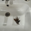 https://cdn.worldota.net/t/100x100/hotel_review/92/72/927236d267729687d266246148805e8626451697.JPEG
