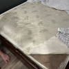 https://cdn.worldota.net/t/{size}/hotel_review/92/be/92be50c8a0bd18e6f9a349c504025f81abd15894.JPEG