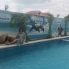https://cdn.worldota.net/t/100x100/hotel_review/93/e7/93e7d1bfb6e1e875c7889a37d15163d11329c06c.jpeg