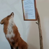 https://cdn.worldota.net/t/100x100/hotel_review/94/56/945674f0b0b9142e6d1906bb266b0823e3734a58.JPEG