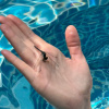 https://cdn.worldota.net/t/100x100/hotel_review/94/60/94602575cdae3d5b4ad7fb9f21c292db6f713e99.JPEG