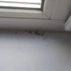 https://cdn.worldota.net/t/100x100/hotel_review/94/89/94899a1c982d3ff01cd59f0b44f7ec6791aca9fd.JPEG
