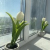 https://cdn.worldota.net/t/100x100/hotel_review/94/e9/94e9818bad5b3f0cb3e541cd7d32eb4c33ecc376.JPEG