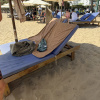 https://cdn.worldota.net/t/100x100/hotel_review/95/30/95308f2b0e85e9ef293d66ab459e6009459e482a.JPEG